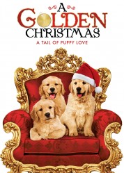 Watch free A Golden Christmas HD online