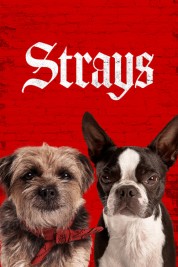 Watch free Strays HD online