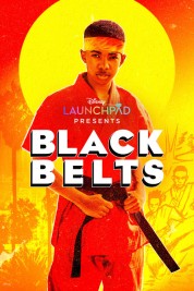 Watch free Black Belts HD online