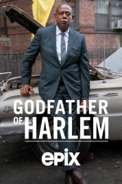 Watch free Godfather of Harlem HD online