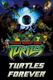 Watch free Turtles Forever HD online