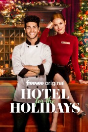 Watch free Hotel for the Holidays HD online