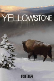 Watch free Yellowstone HD online