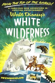 Watch free White Wilderness HD online