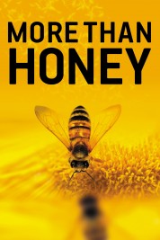 Watch free More Than Honey HD online