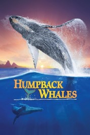 Watch free Humpback Whales HD online