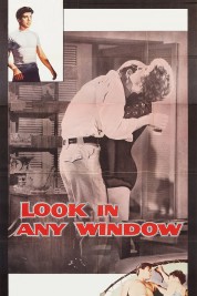 Watch free Look in Any Window HD online