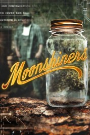 Watch free Moonshiners HD online