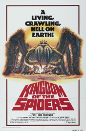 Watch free Kingdom of the Spiders HD online