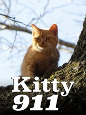 Watch free Kitty 911 HD online