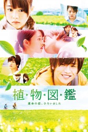 Watch free Evergreen Love HD online