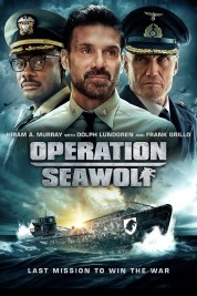 Watch free Operation Seawolf HD online