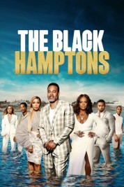 Watch free The Black Hamptons HD online