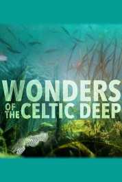 Watch free Wonders of the Celtic Deep HD online