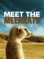 Watch free Meet The Meerkats HD online