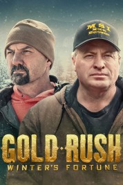 Watch free Gold Rush: Winter's Fortune HD online