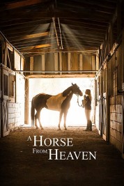 Watch free A Horse from Heaven HD online